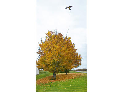 Skadefugleskræmmer 7 mtr