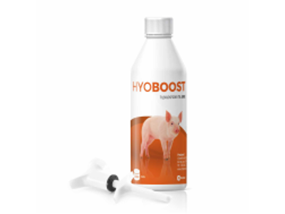 Hyoboost 200 ml x 10 stk
