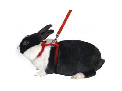 Kaninsele justerbar m/line 140 cm