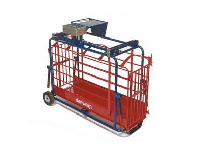 Svinevægt elektronisk