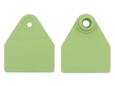 Øremærker stor 100 sæt grøn, blanke 