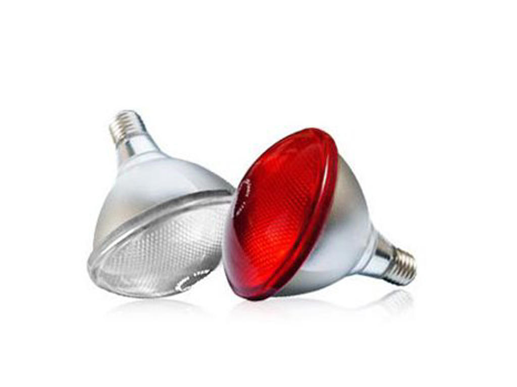 Interheat heat bulb, 100 w, Interheat, 24 pcs