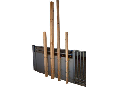 Grantræ til rodemateriale