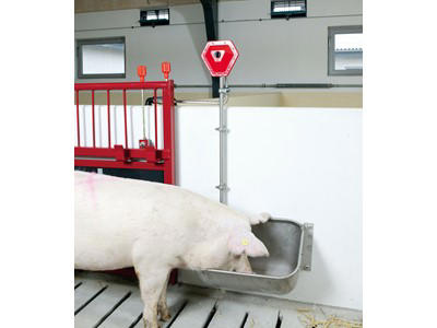 Aqua level, masterflow