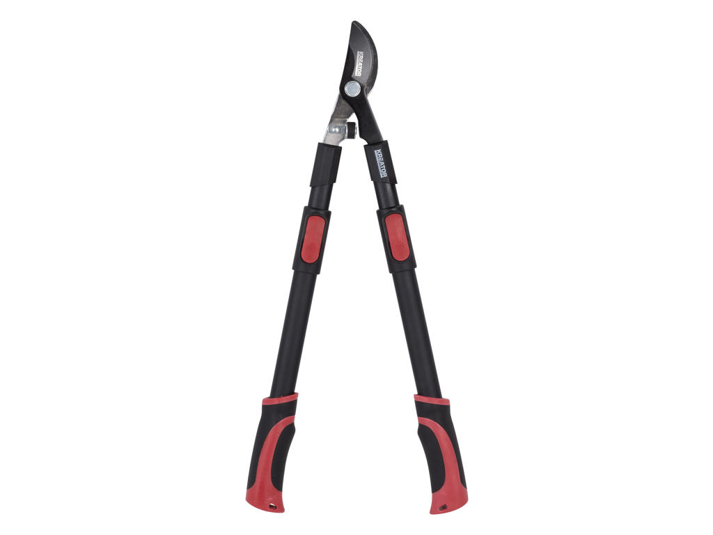 Pruning shears